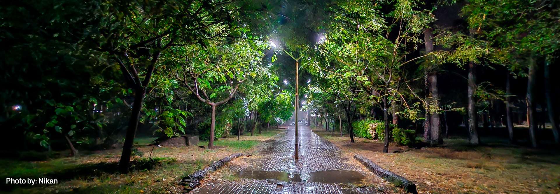 شبهای مرکز روانپزشکی رازی