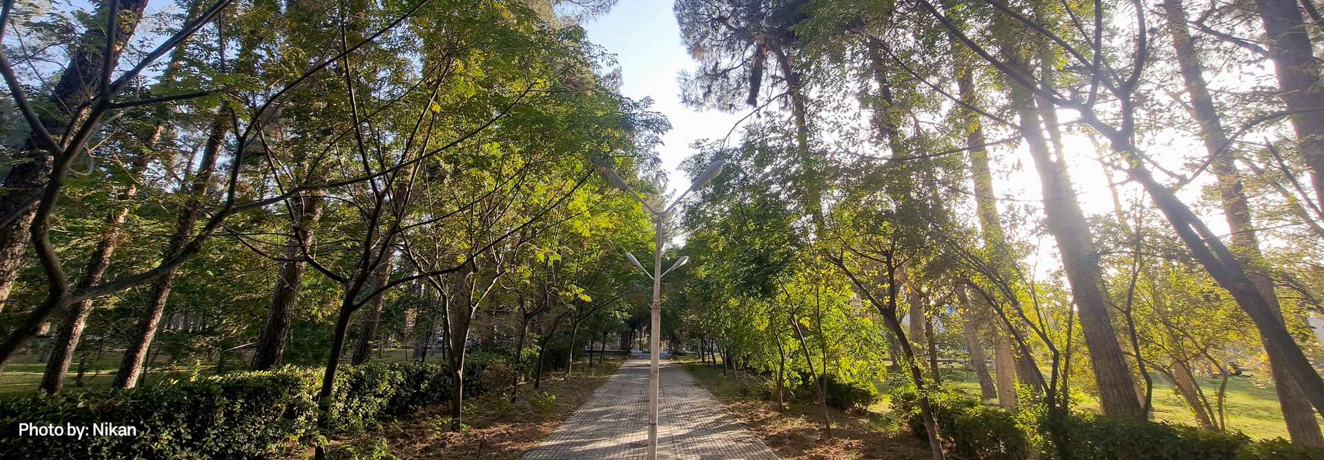 طبیعت مرکز روانپزشکی رازی